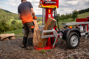 Lancman STAWX 17 / 21 Holzspalter auf Fahrgestell