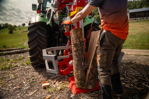 Lancman STX 21 Holzspalter